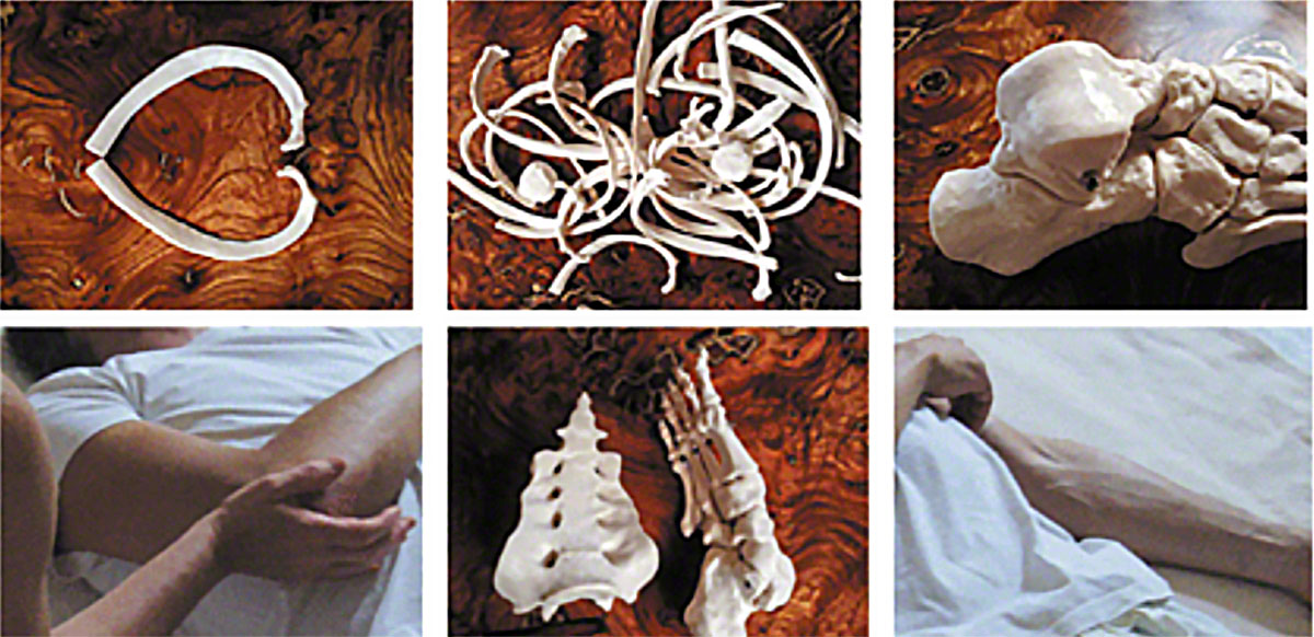 Spirit of Anatomy